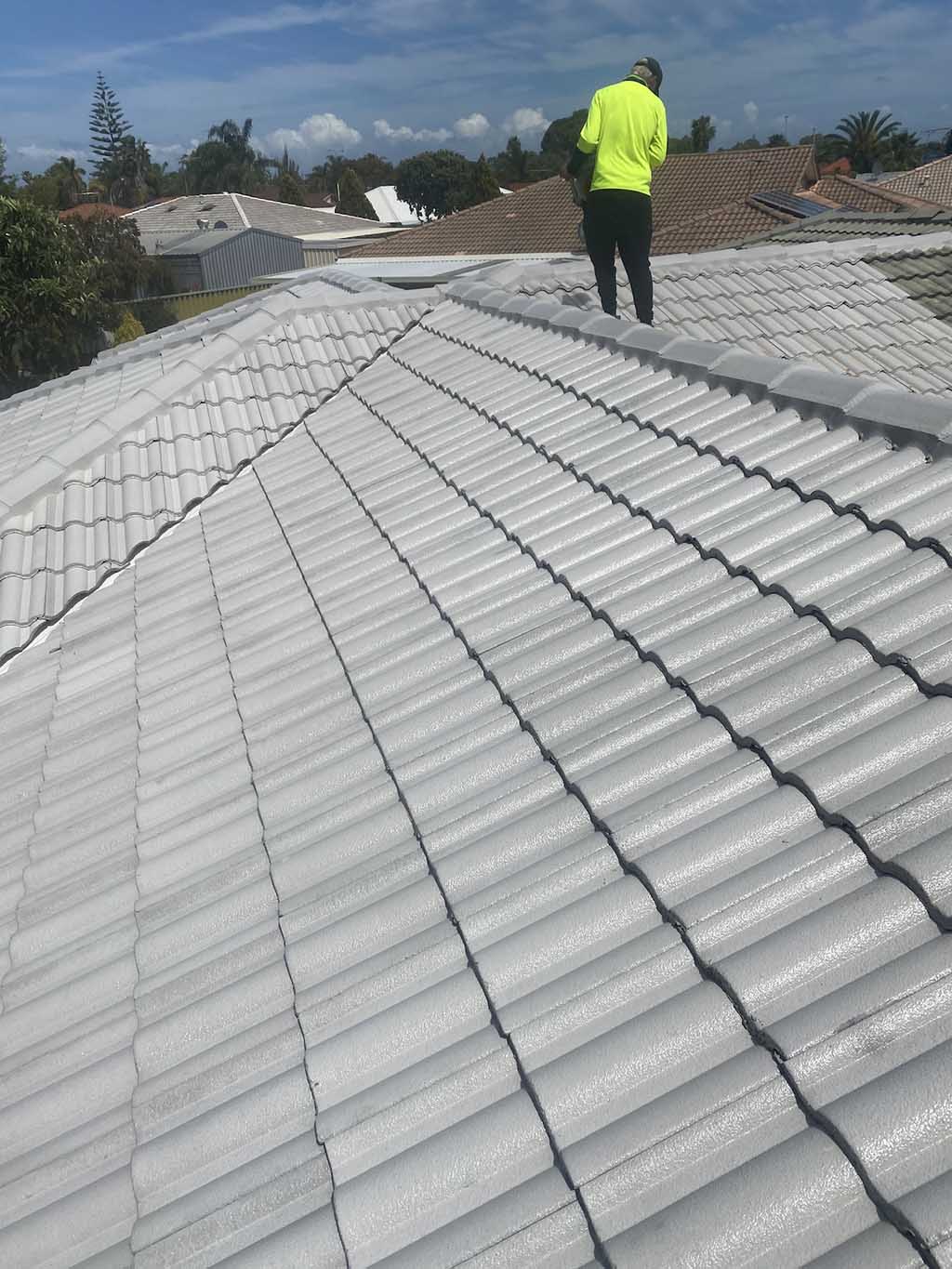 roof painting rockingham