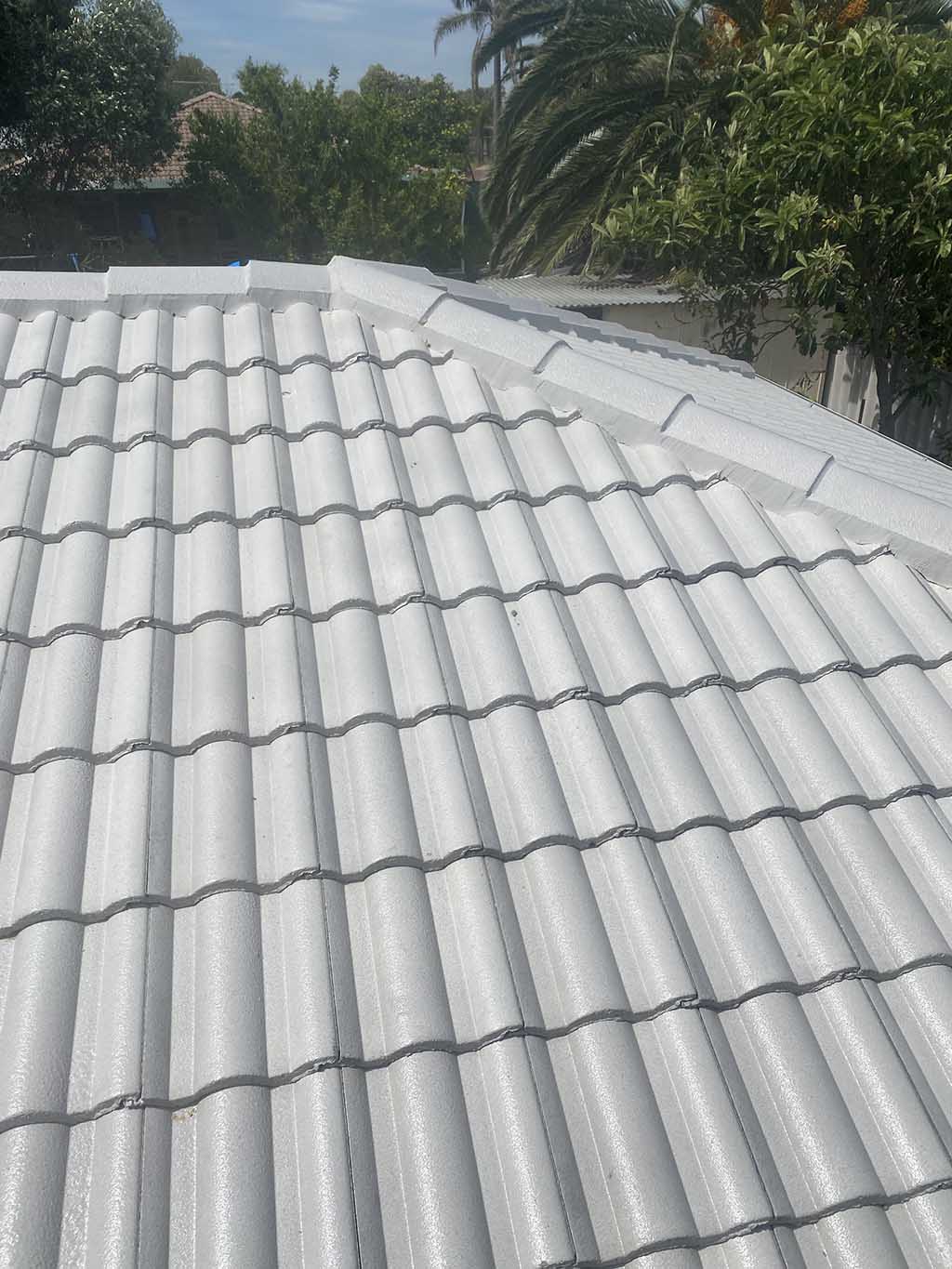 roof restoration rockingham