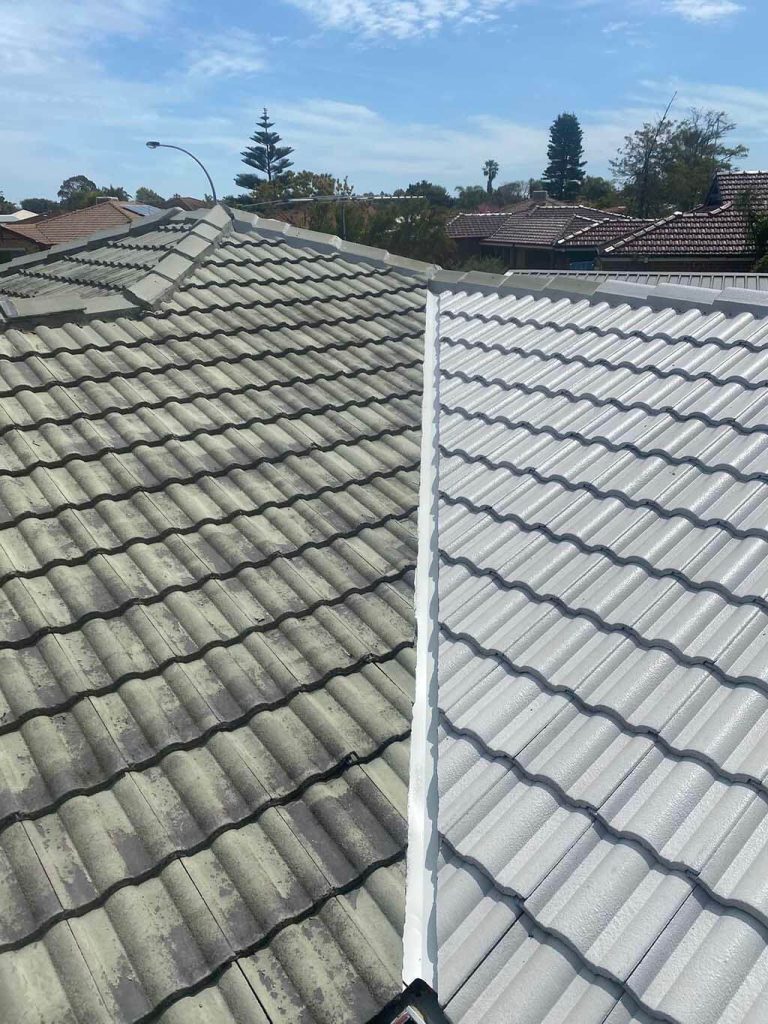 roof restoration rockingham