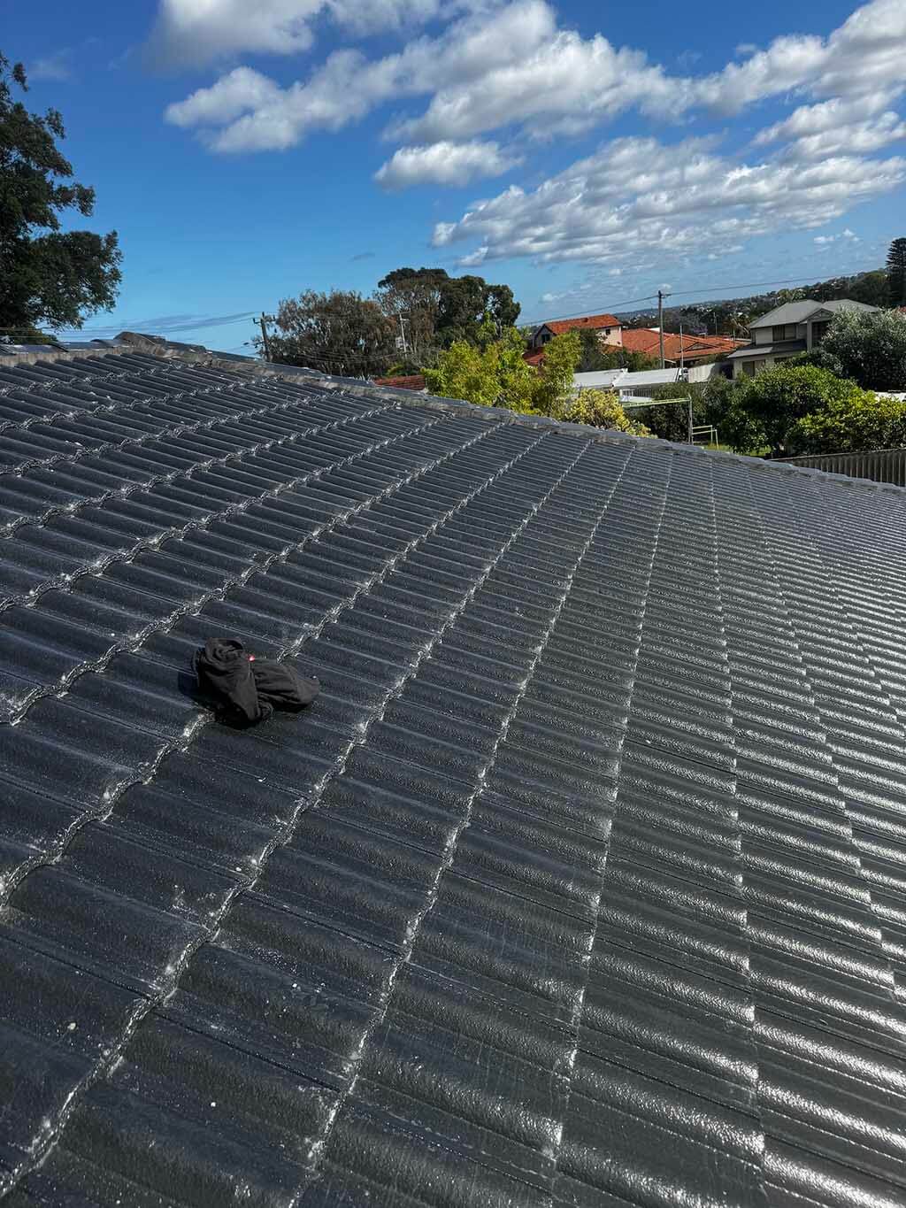 roof cleaning rockingham